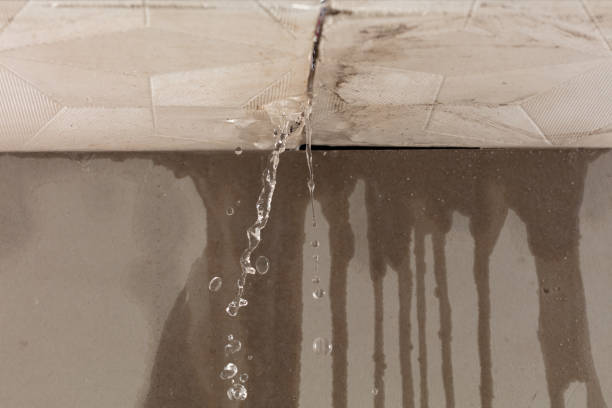 Professional Sewage Cleanup technician working in Burke, VA